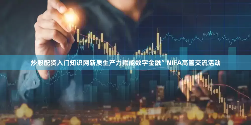 炒股配资入门知识网新质生产力赋能数字金融”NIFA高管交流活动