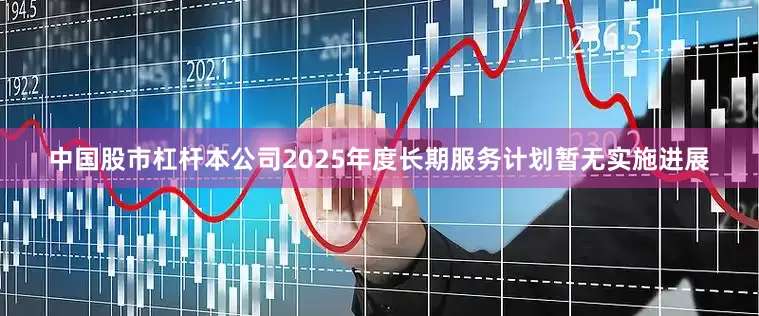 中国股市杠杆本公司2025年度长期服务计划暂无实施进展